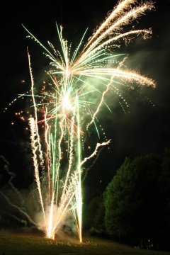 t_IMG_5416.jpg